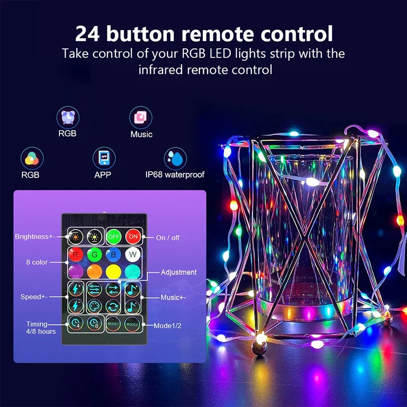 Dreamcolor Rgb Led Strip WS2812B Bluetooth Smart String Fairy Lights Christmas Garland Light Waterproof For Party Curtain Room