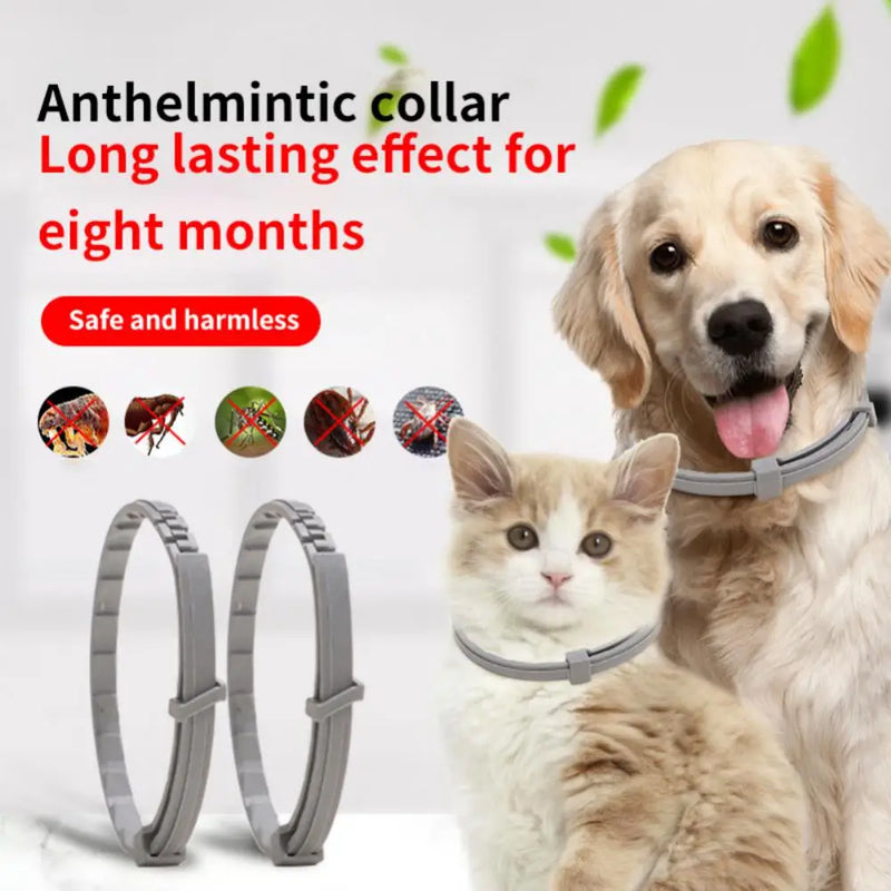 Collar antipulgas y garrapatas para perros y gatos, protección de 8 meses, collares retráctiles para mascotas, accesorios para cachorros, gatos y perros grandes