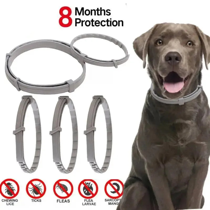 Collar antipulgas y garrapatas para perros y gatos, protección de 8 meses, collares retráctiles para mascotas, accesorios para cachorros, gatos y perros grandes