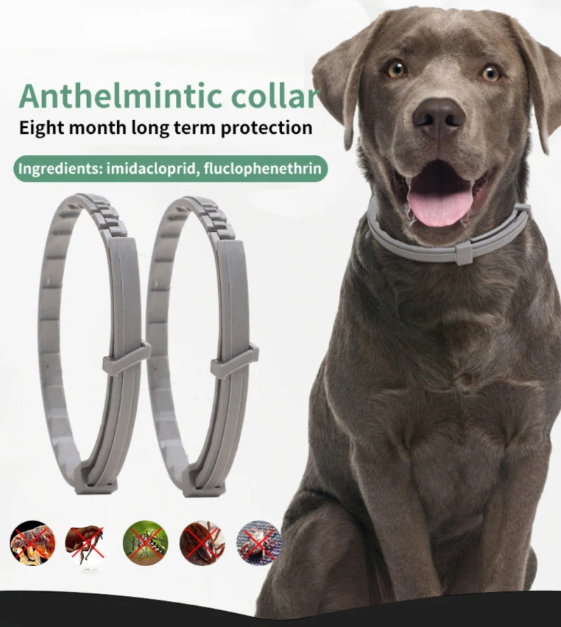 Collar antipulgas y garrapatas para perros y gatos, protección de 8 meses, collares retráctiles para mascotas, accesorios para cachorros, gatos y perros grandes