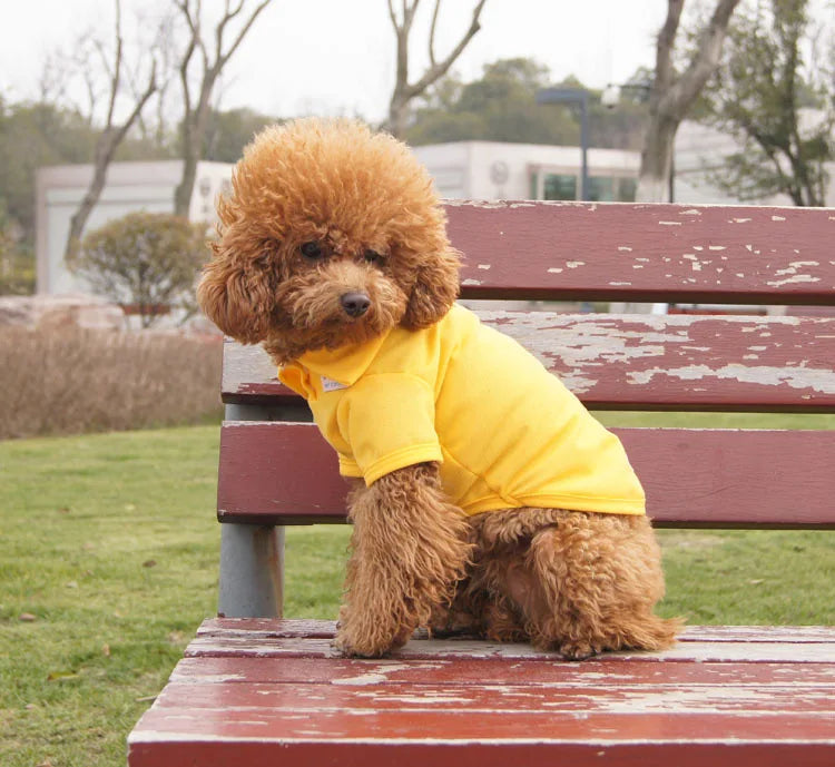 Nueva camiseta de verano cómoda para cachorros y mascotas, ropa para perros pequeños y gatos, disfraz, camiseta, accesorio duradero para mascotas